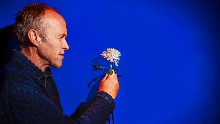 Stef Bos - Bloemlezing 2026