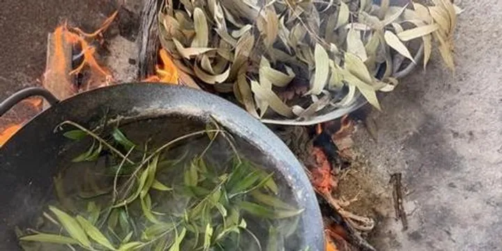 Cultural Immersion: Ecco Dyeing
