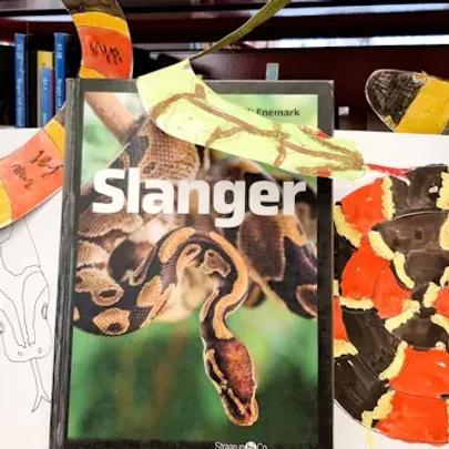 Slangeuroer - kreaværksted