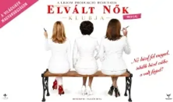 Elvált nők klubja - musical