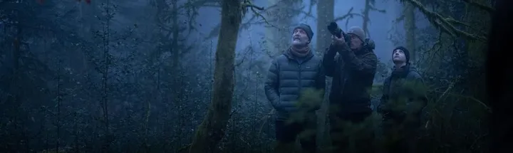 Le Chant des forêts