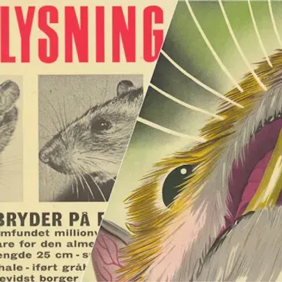 Rotten og byen - rottebekæmpelse, velfærd og hverdag i 1900-tallets København