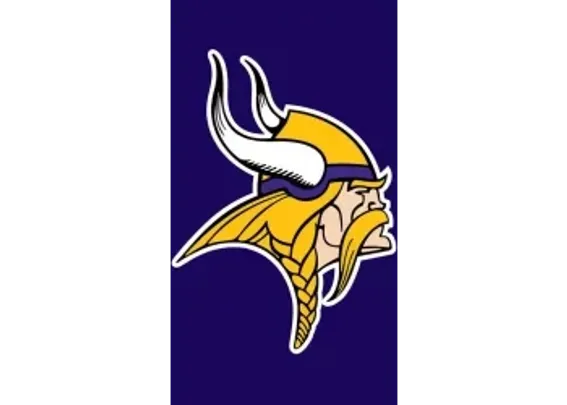 Minnesota Vikings at Jets