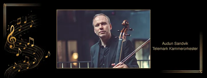 SOS: Telemark Kammerorkester og Audun Sandvik