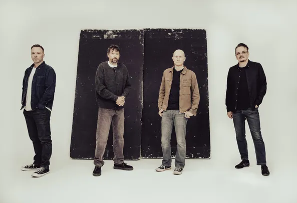 THE PINEAPPLE THIEF
