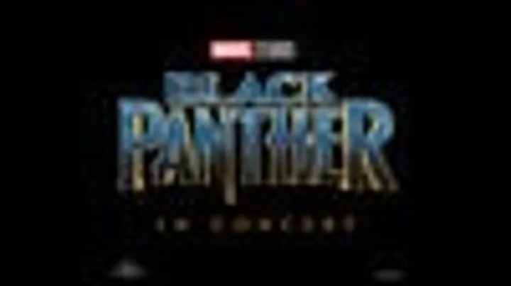 Black Panther In Concert