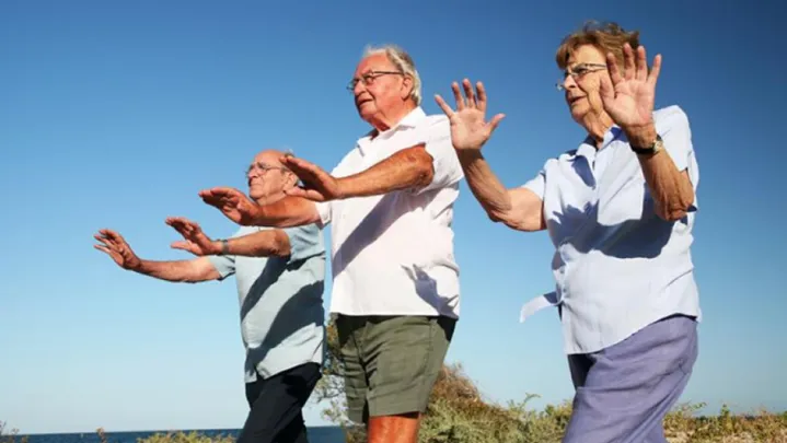 Qigong - Term 4