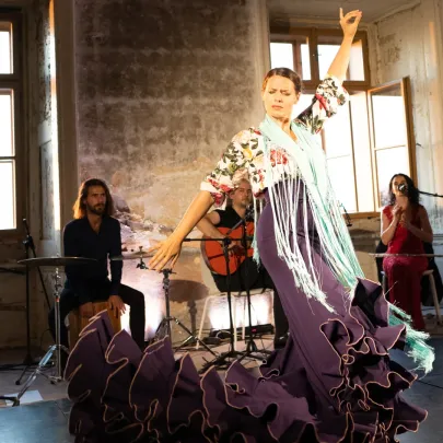 ​Tocalo flamenco