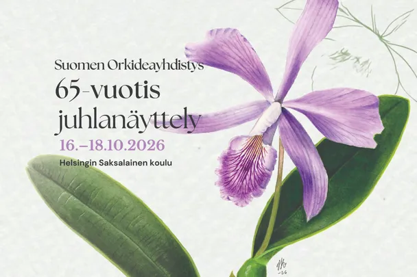 Suomen Orkideayhdistyksen 65-vuotisjuhlanäyttely
