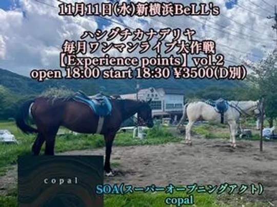 ハシグチカナデリヤ毎月ワンマンライブ大作戦 【Experience points】vol.2