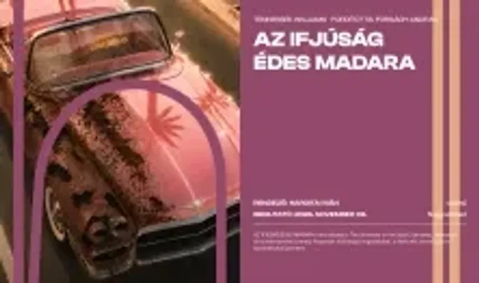 Az ifjúság édes madara