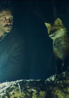 The Fox