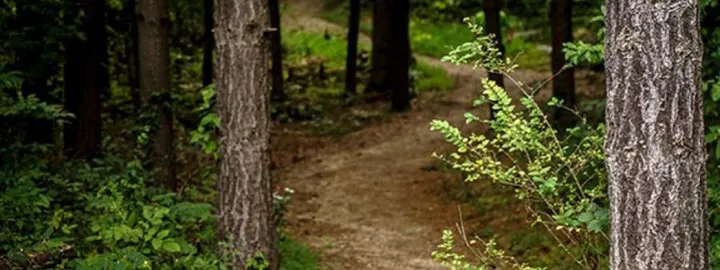 Nature Park 50K & 25K Trail Race