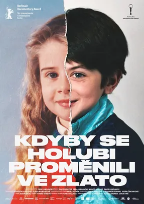 Kdyby se holubi proměnili ve zlato