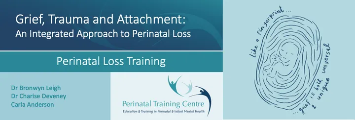 Perinatal Loss Training 2027