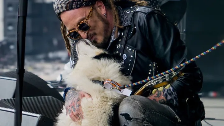 The Wildhearts
