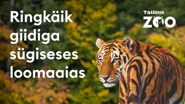 Sügisesed ekskursioonid loomaaias
