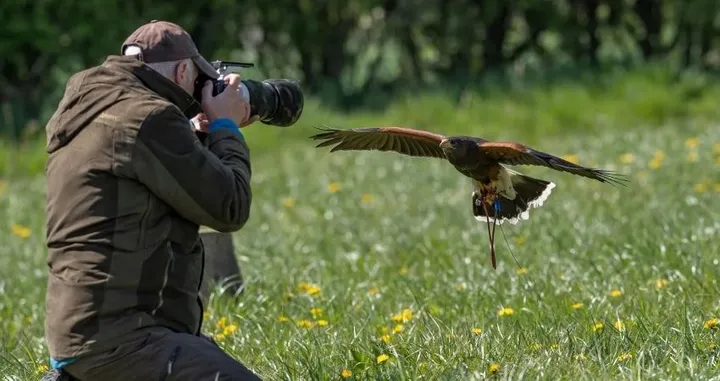 Wildlife Through The Lens