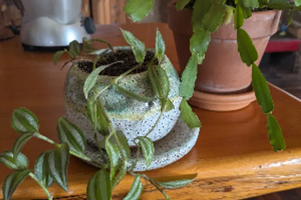 Plant Pot making Workshop - School Holidays 022