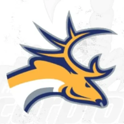 Hannover Scorpions - Tilburg Trappers