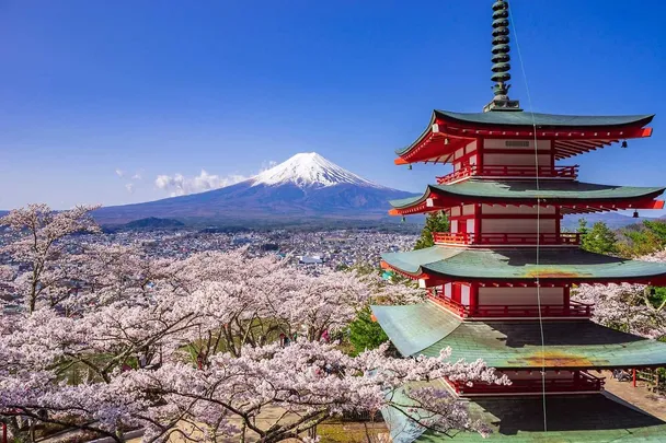 Do Japonska nejen za sakurami