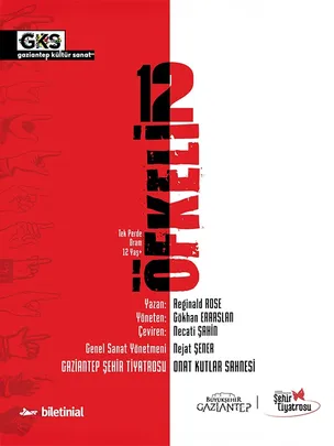 12 Öfkeli