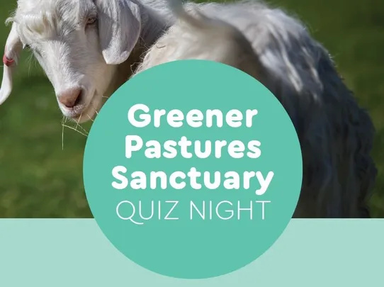 Christmas Quiz Night!