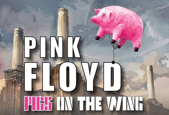 Pink Floyd - Pigs on The Wing - Camden Civic Centre