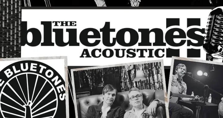 The Bluetones Acoustic