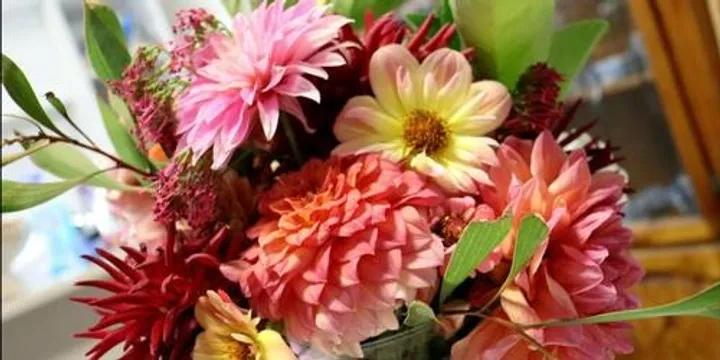 A Little Flower Farm garden tour and flower appreciation at Rose Social Baldivis
