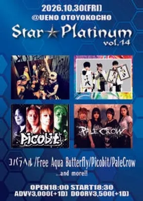 Star★Platinum 14