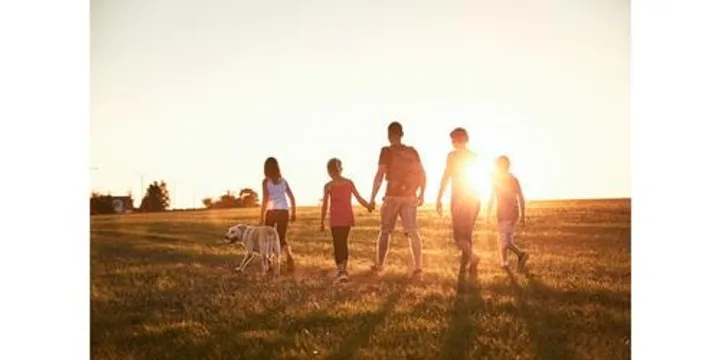 Schema Therapy for Children and Adolescents: Specific Intervention Techniques (WS2) (BRISBANE)