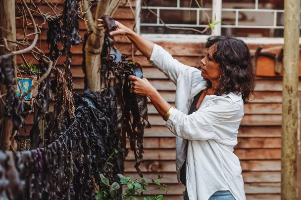 Coastal Forage Experience with Veld & Sea - 6 March