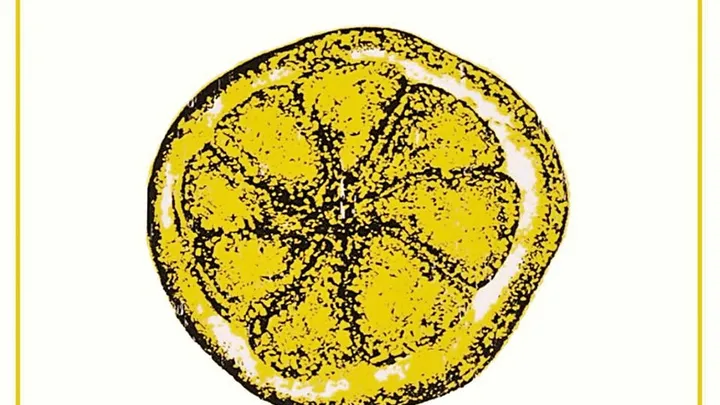 The Complete Stone Roses