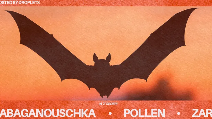Down2Techno x Droplets: Babaganouschka, Pollen, Zarb