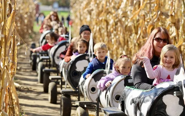 Tiny Town Family Fun Day at Ellms Family Farm