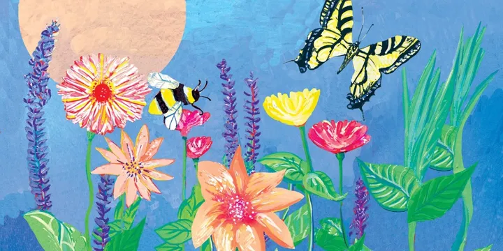SpringSong 2027