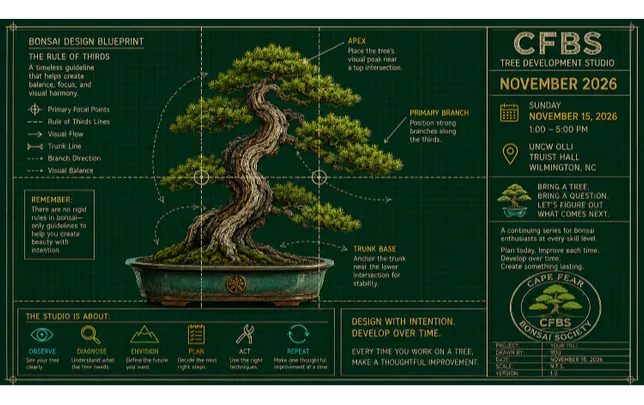 November 2026 – Tree Development Studio