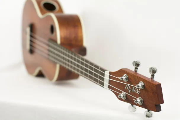 Ukulelejamit