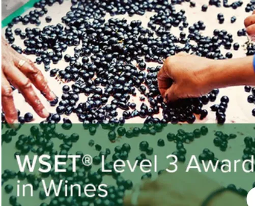 WSET Level 3 in Wine