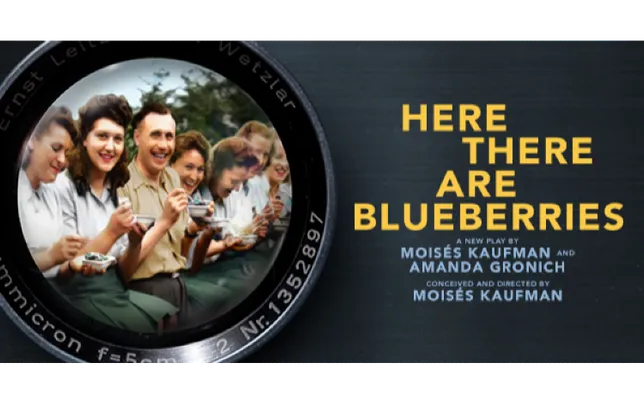 "Here There Are Blueberries" on Broadway