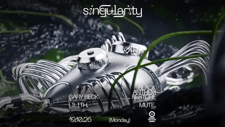 ◥◣SINGULARITY◥◣
