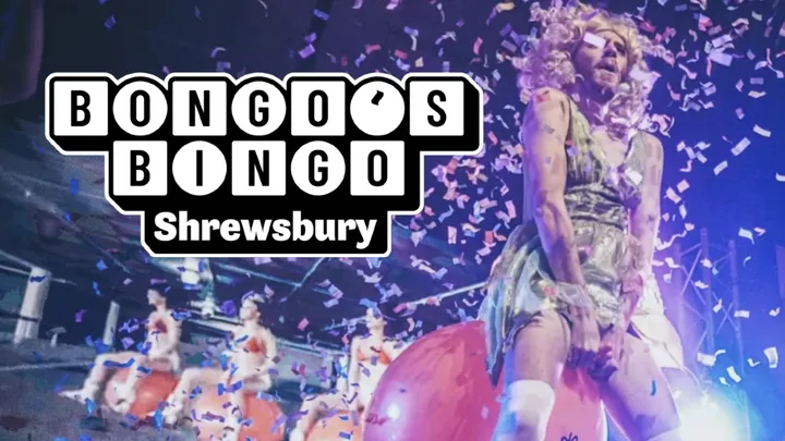 🤪 BONGO'S BINGO