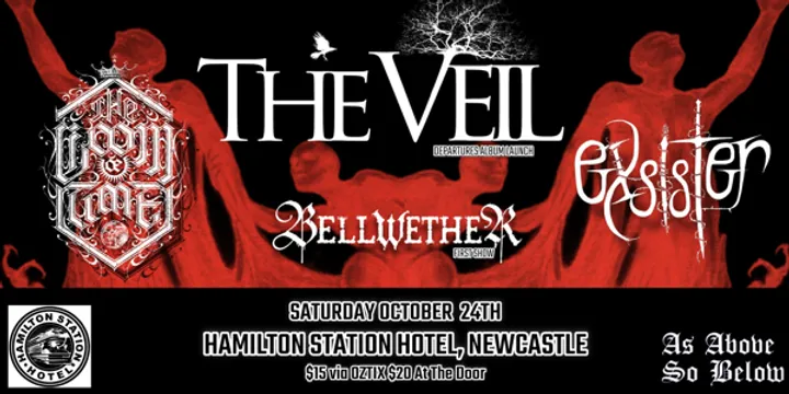 HELL RIPS THE HAMO VOL. XVI