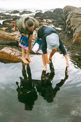 Coastal Forage Experience with Veld & Sea - 21 February