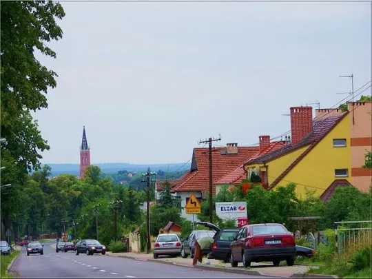 Cross Żagański o Puchar Wielkiej Ucieczki