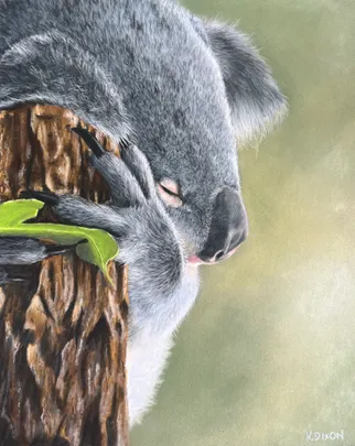 Realistic Wildlife in Soft Pastels with Kerri Dixon