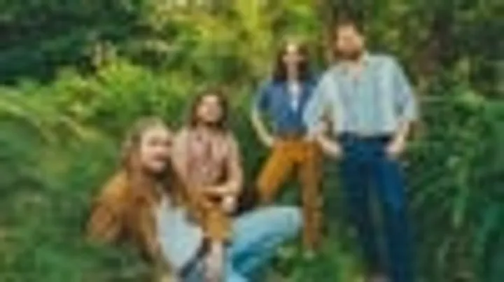 The Sheepdogs