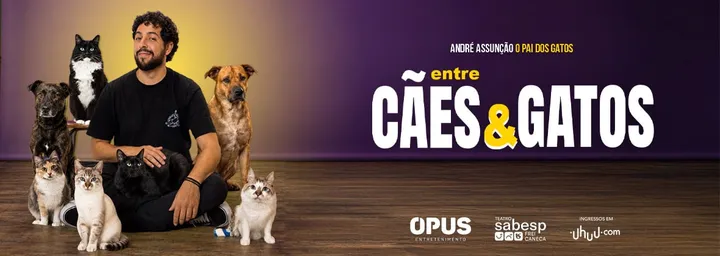 André Assunção, Entre Cães e Gatos
