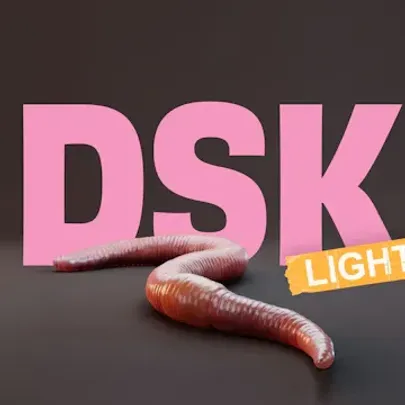 Frank Hvam: DSK - Light